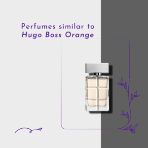 Perfumes similar to Hugo Boss Orange